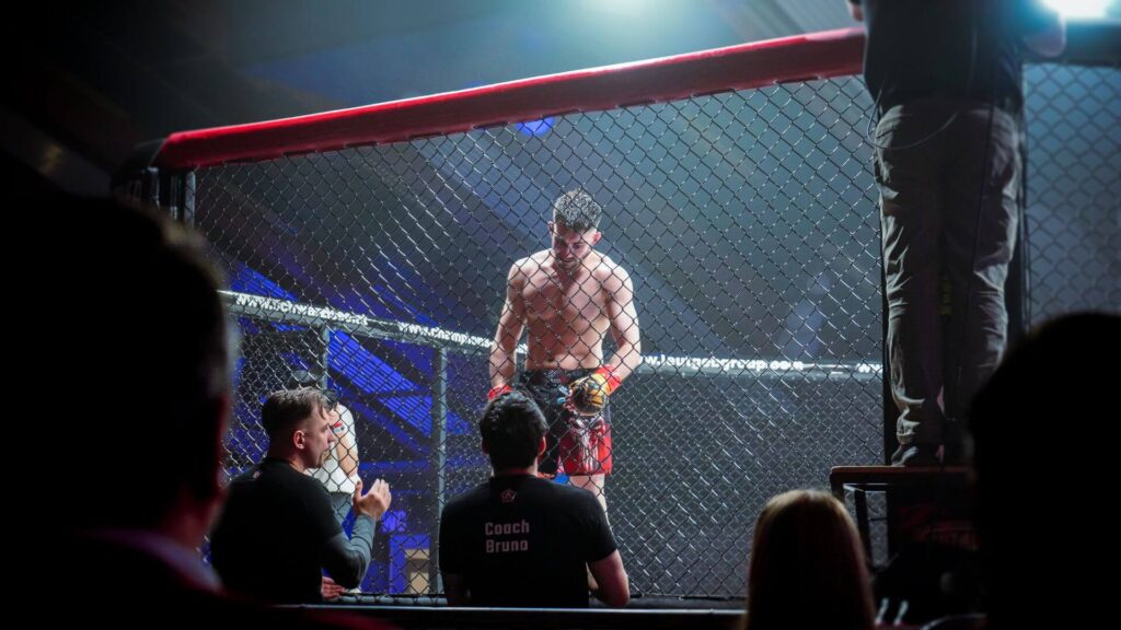 Robin Vendetta Fight Titelbidl