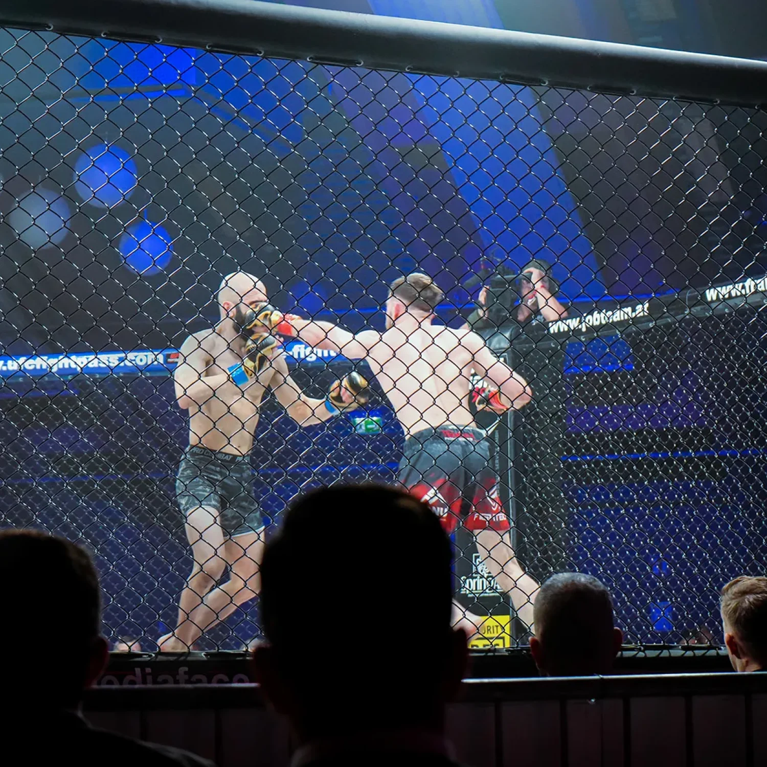 Image_MMA_0000s_0001_DSC01141